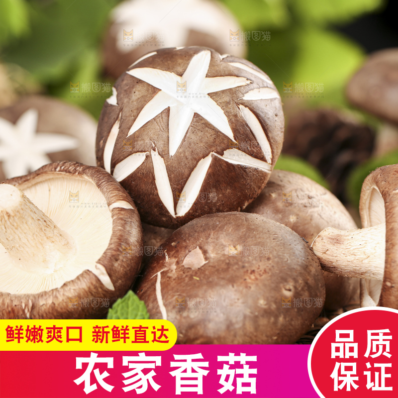 编织垫上放着香菇