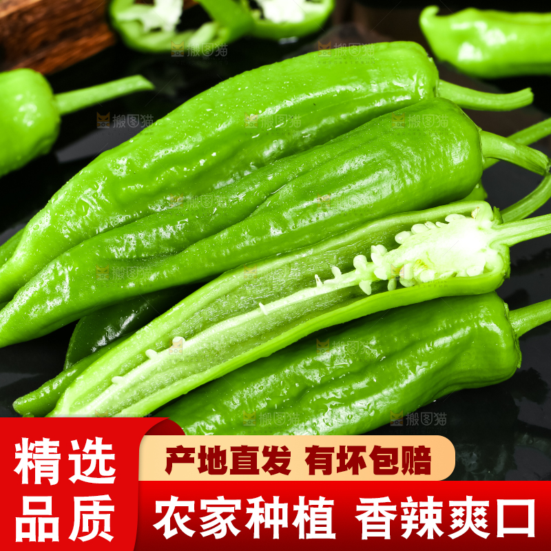 黑底上放着青辣椒
