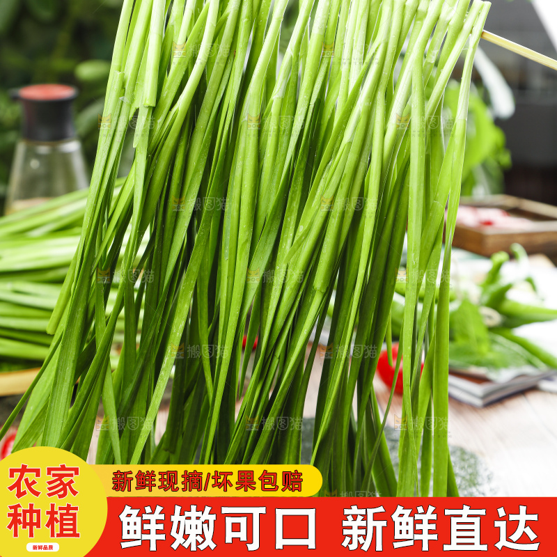 竹签上串着新鲜韭菜