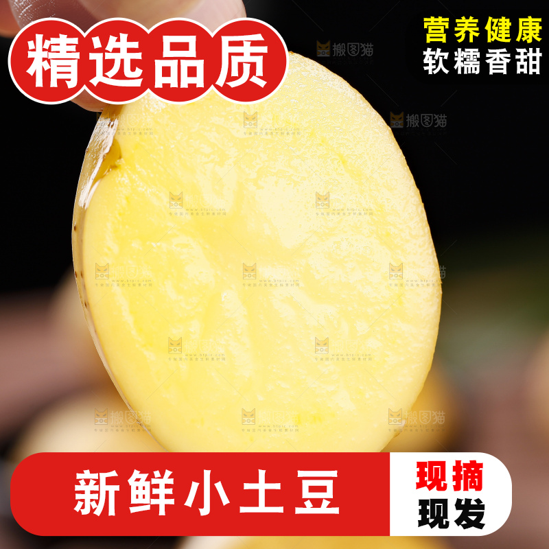 手里拿着迷你小土豆
