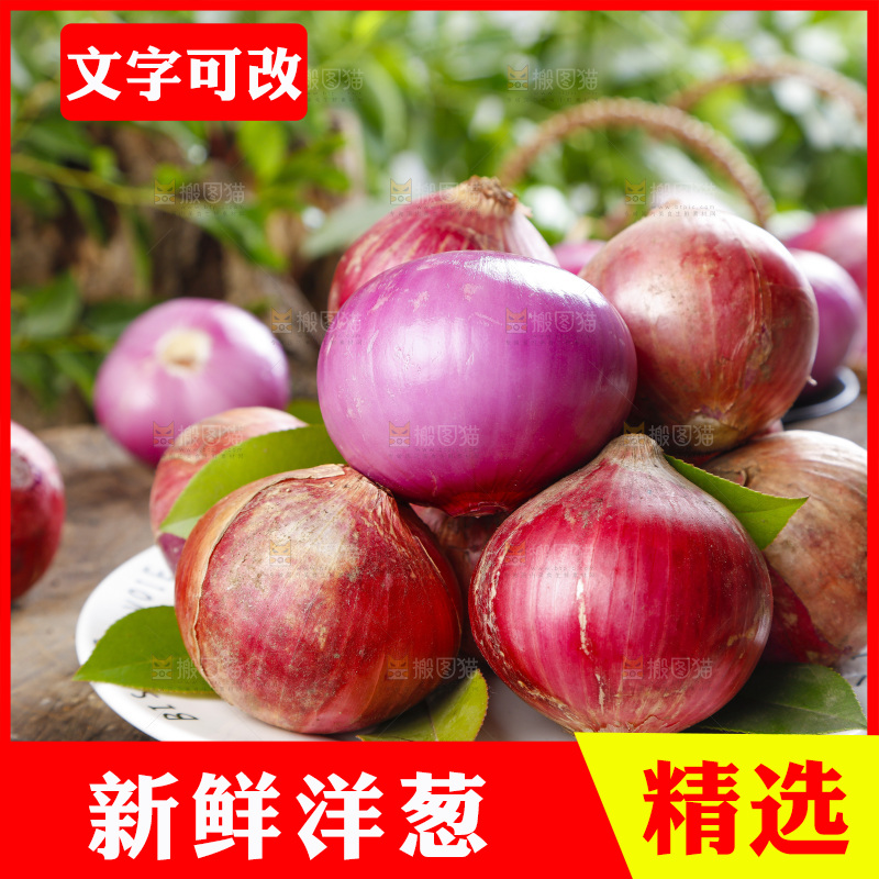 盘子里装着毛洋葱