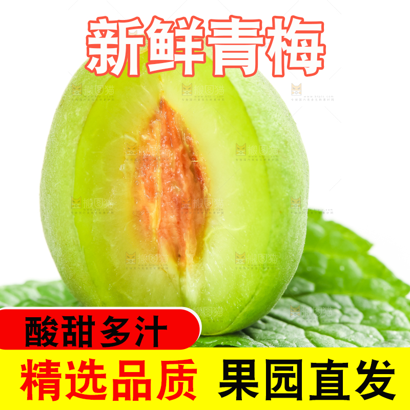 白底上的诏安青梅