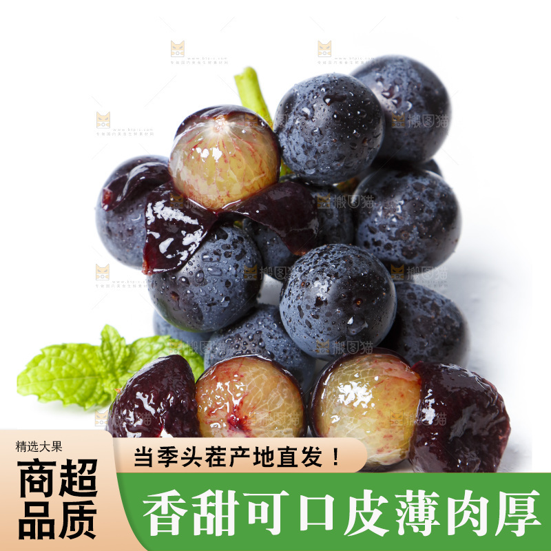 白底上的巨峰葡萄