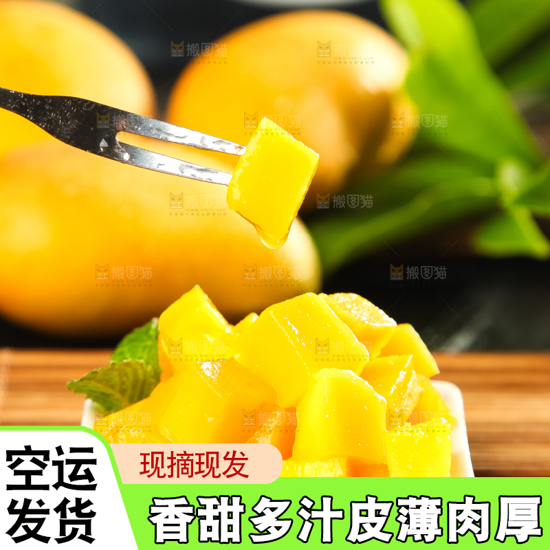手里拿着台农芒果