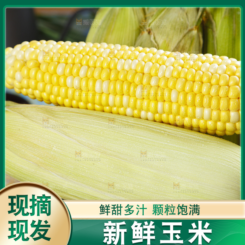 桶里装着水果玉米