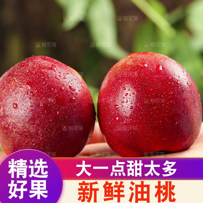 手里拿着黄肉油桃