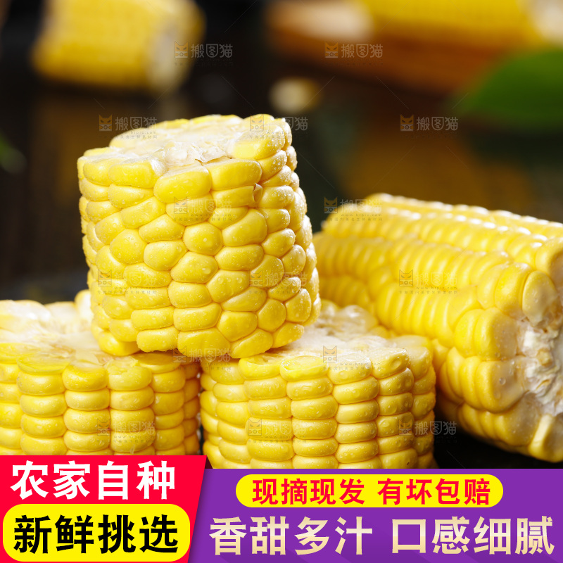 黑石板上的东北玉米