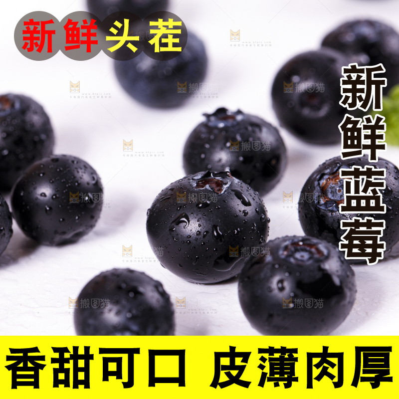 白底上摆放着蓝莓果