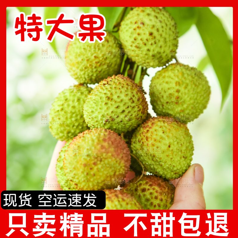 手里拿着妃子笑荔枝