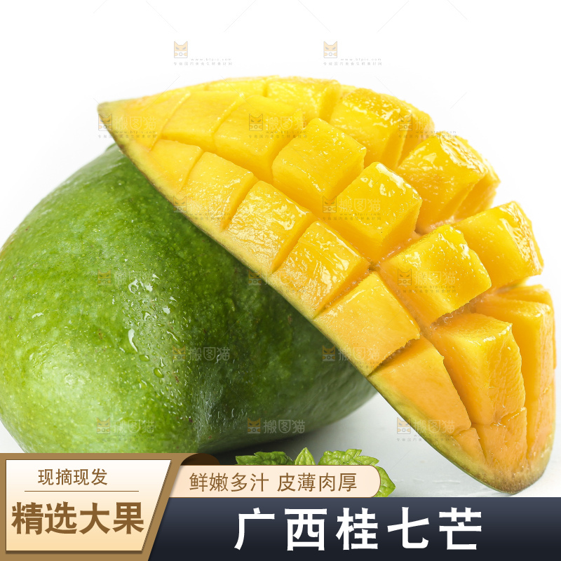 白底上的桂七香芒