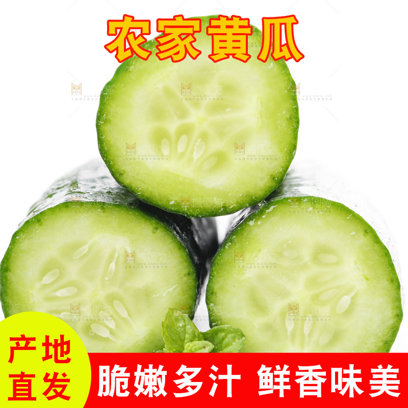 白底上放着切段的小黄瓜