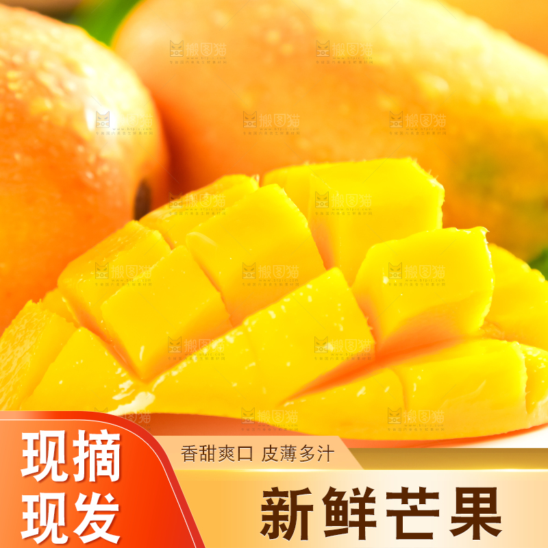 格子底上摆放着小台芒