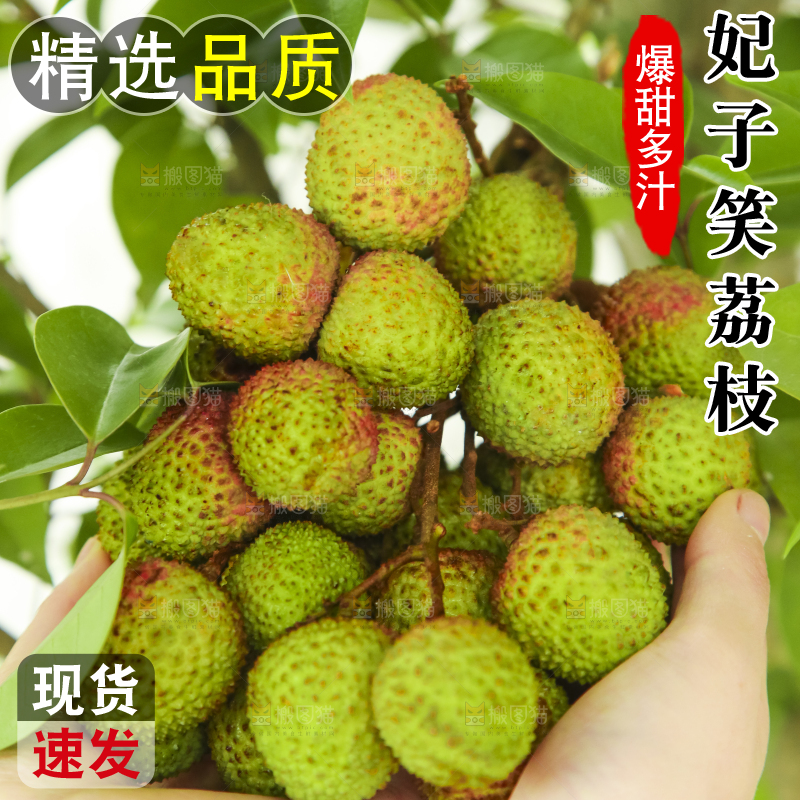 手里拿着妃子笑荔枝