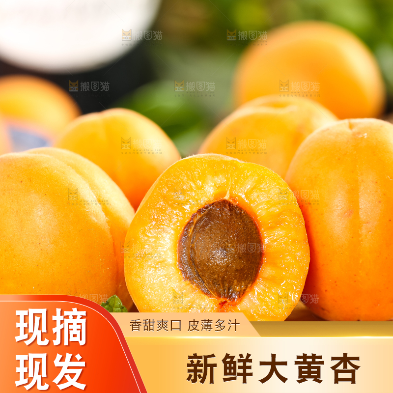 木底上摆放着烟台杏子