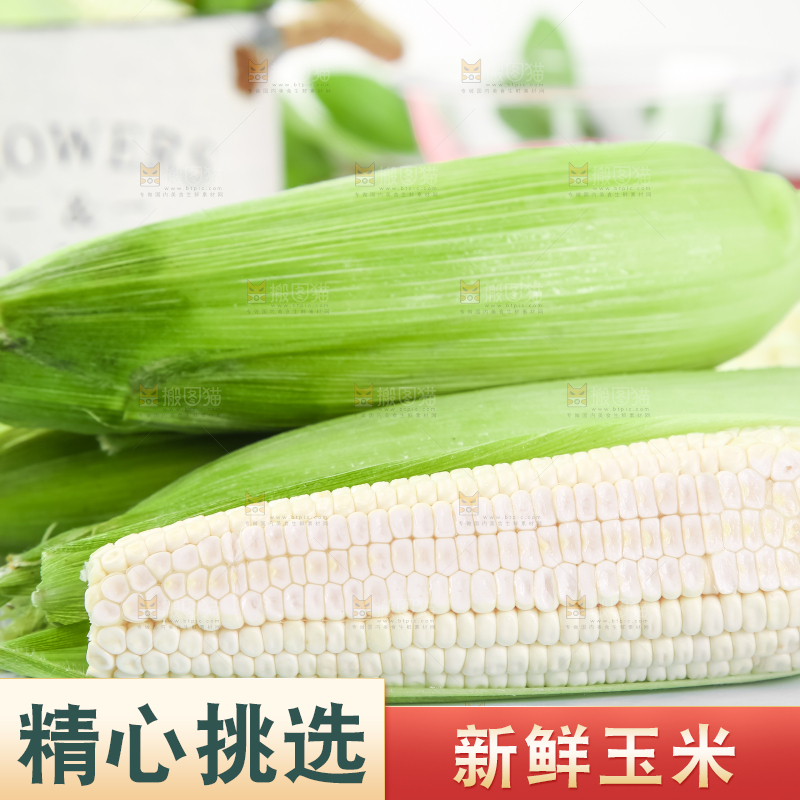 浅底上的牛奶水果玉米