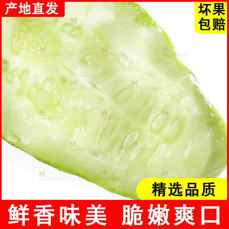 白底上放着刺青瓜