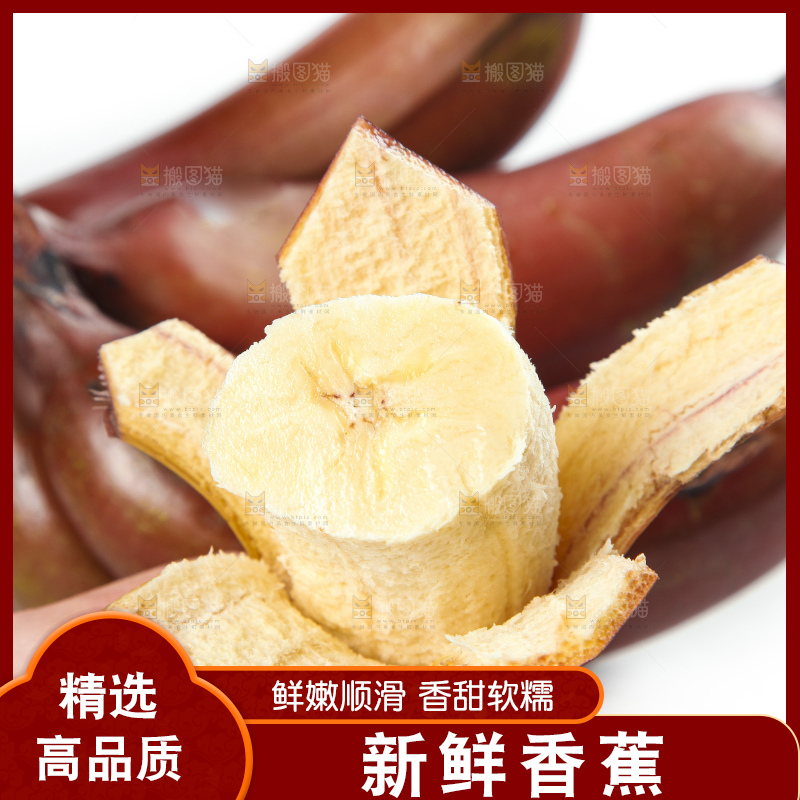 白底上的红皮美人蕉