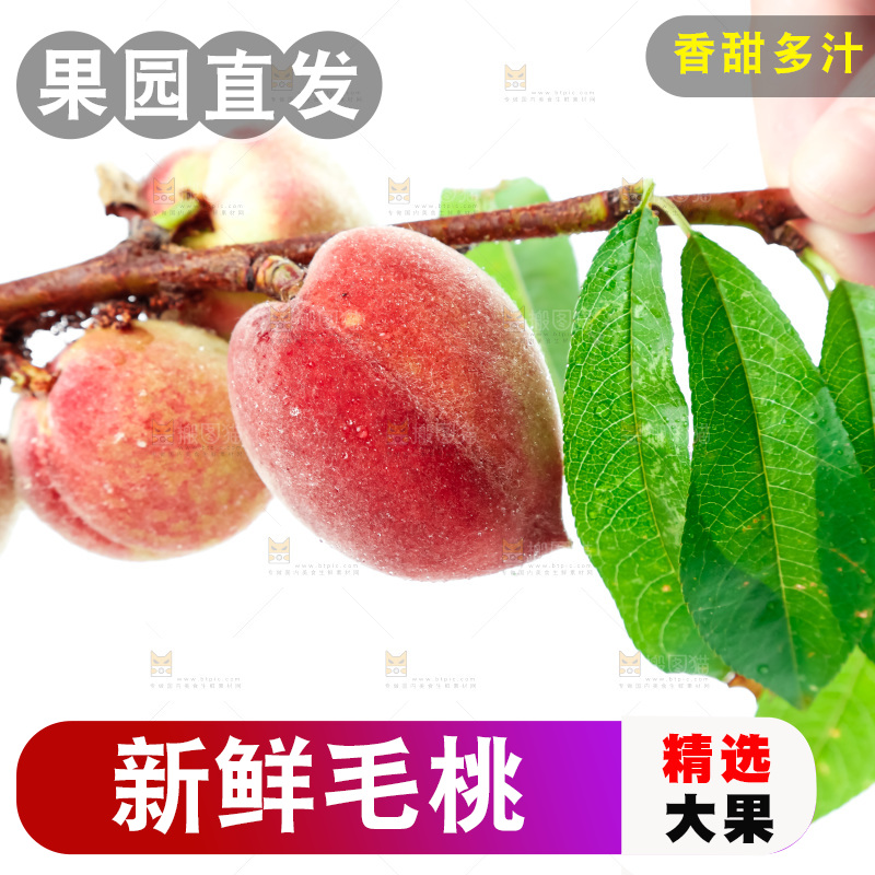 白底上摆放着毛桃