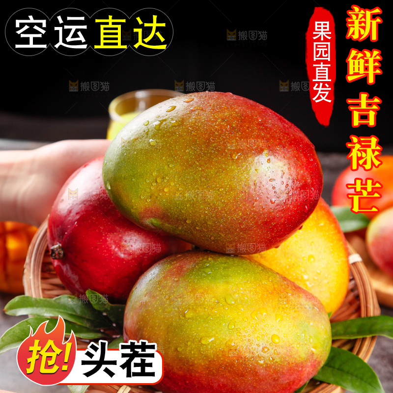 手里拿着爱文芒