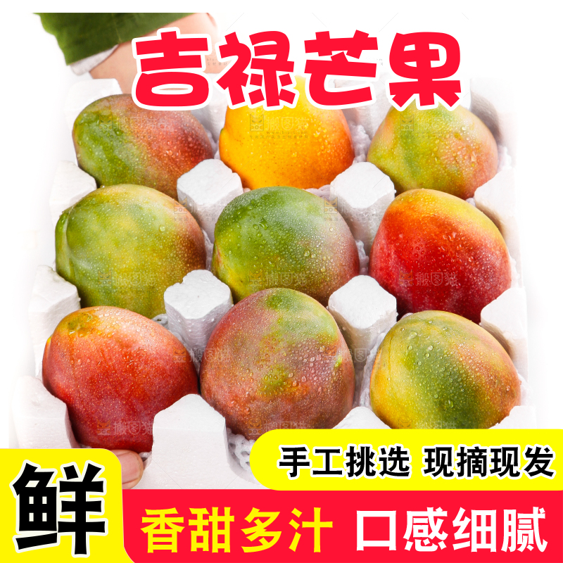 箱子里装着吉禄芒