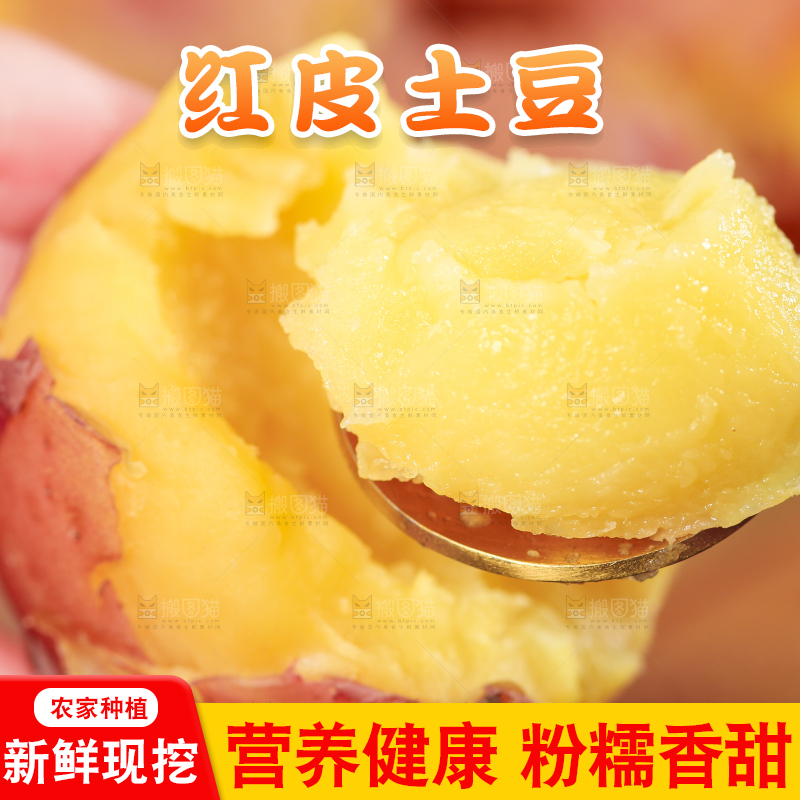 手里拿着红皮黄心土豆