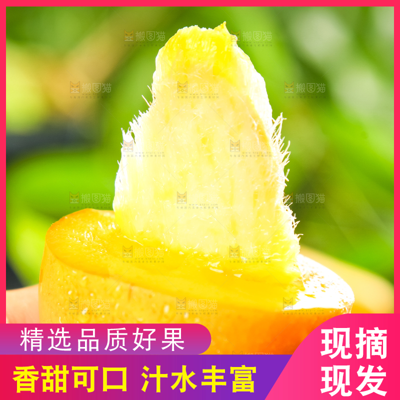手里拿着小台芒