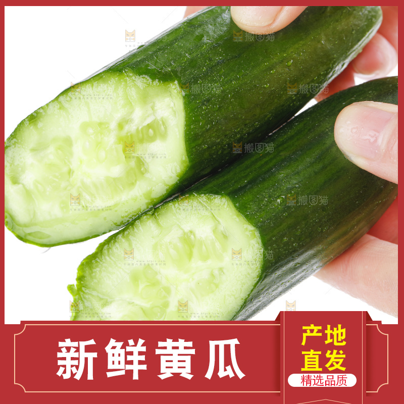 手里拿着嫩黄瓜