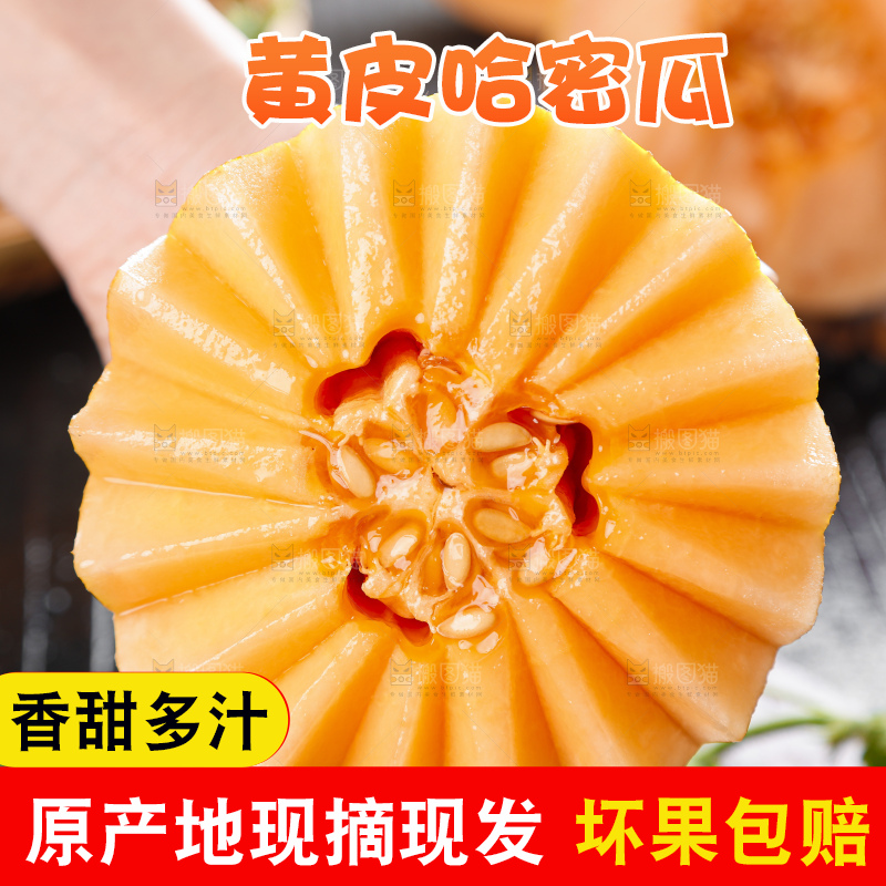 手里拿着黄皮哈密瓜