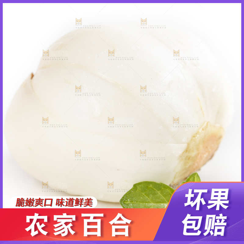 白底上放着兰州百合