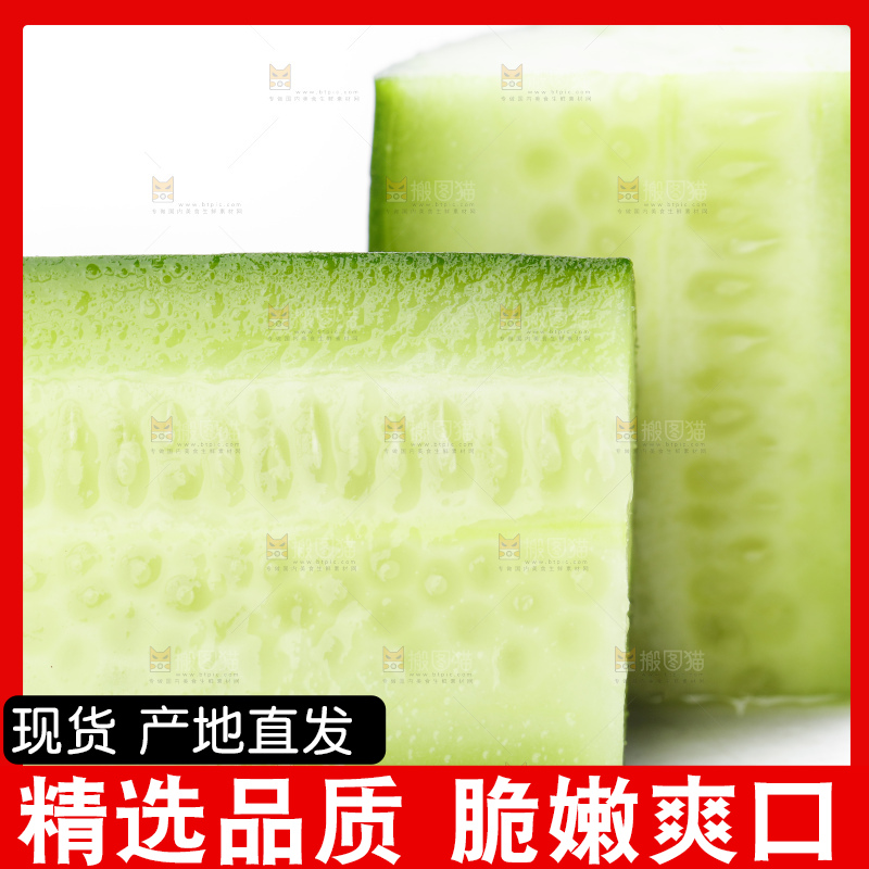 白底上摆放着小青瓜