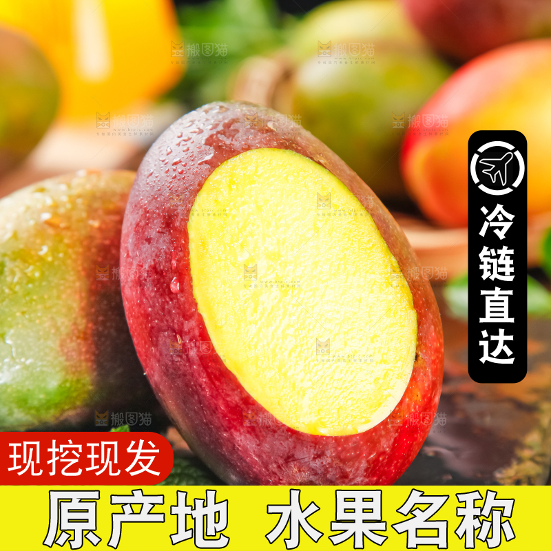 石板上放着爱文芒