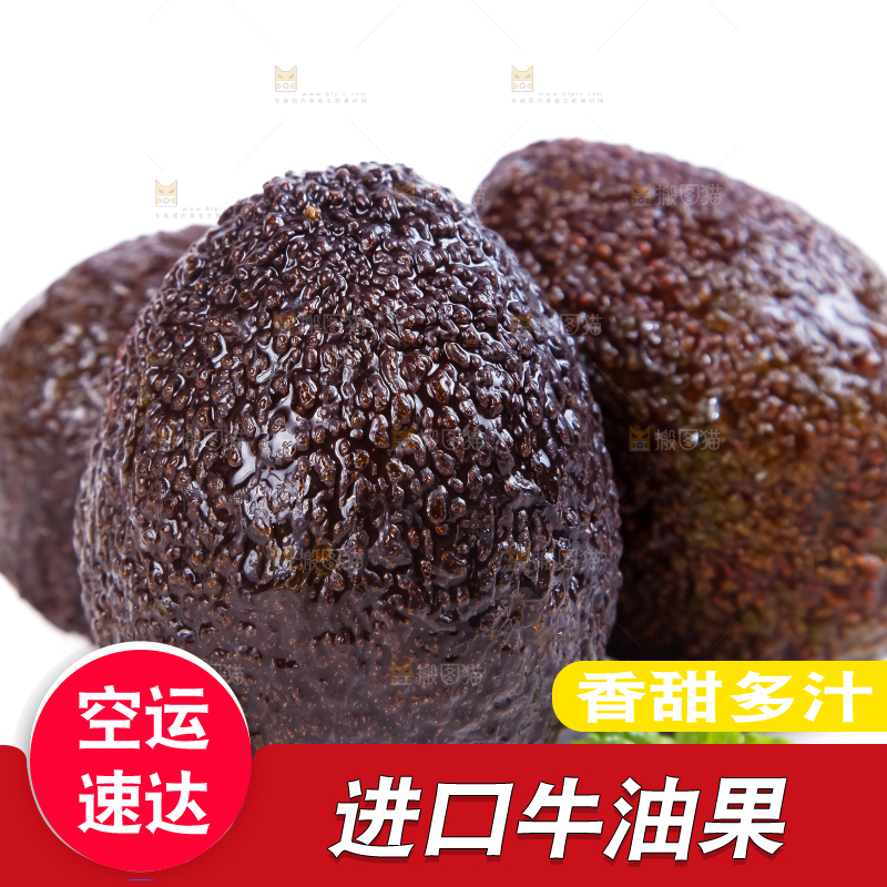 白底上的墨西哥牛油果