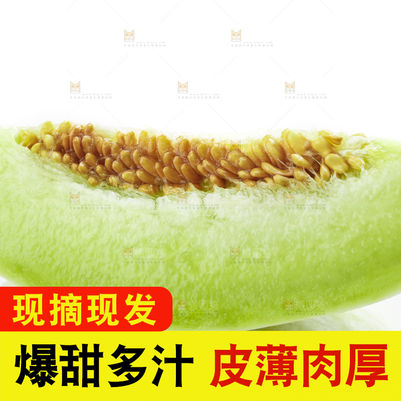 白底上摆放着山东玉菇甜瓜