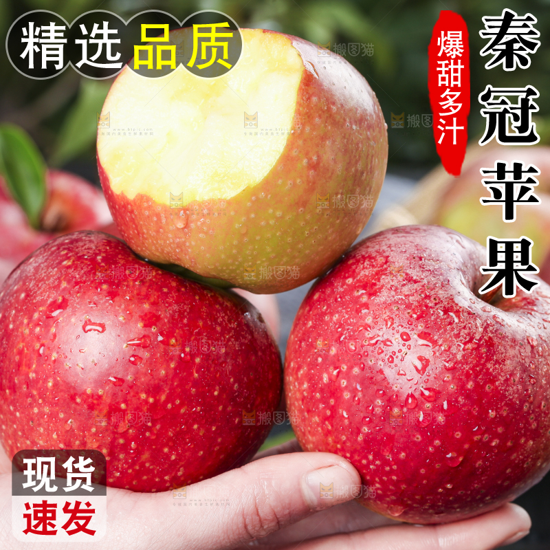 手里拿着秦冠苹果