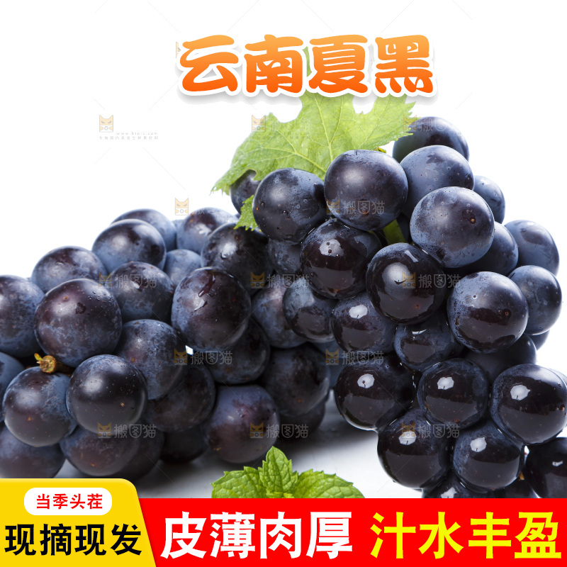 白底上的巨峰葡萄