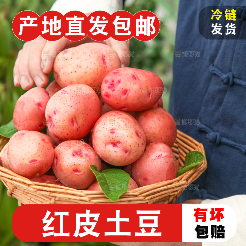 手里捧着一篮土豆