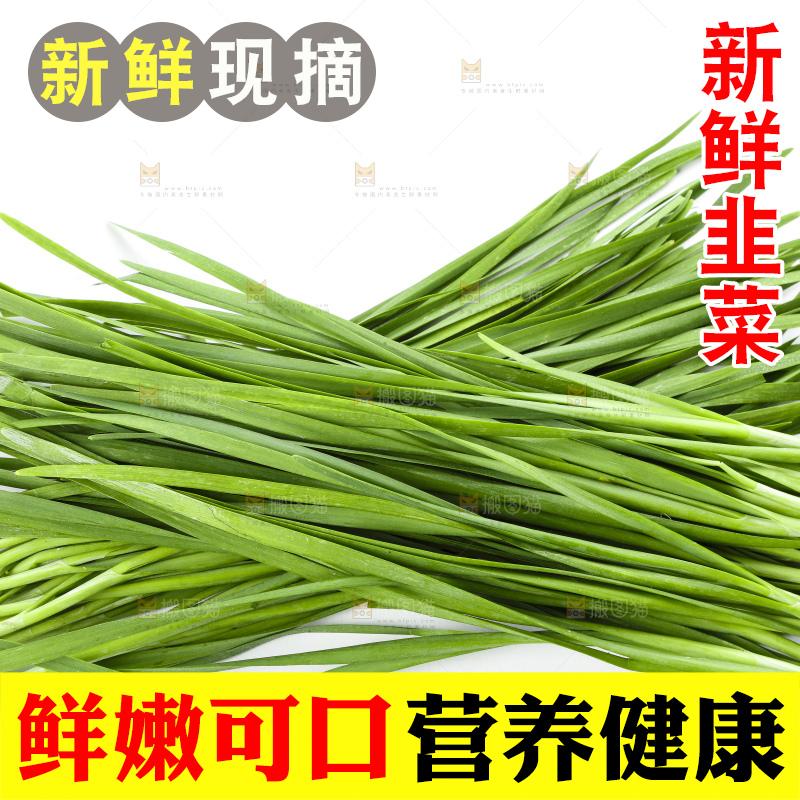 白底上摆放着嫩韭菜
