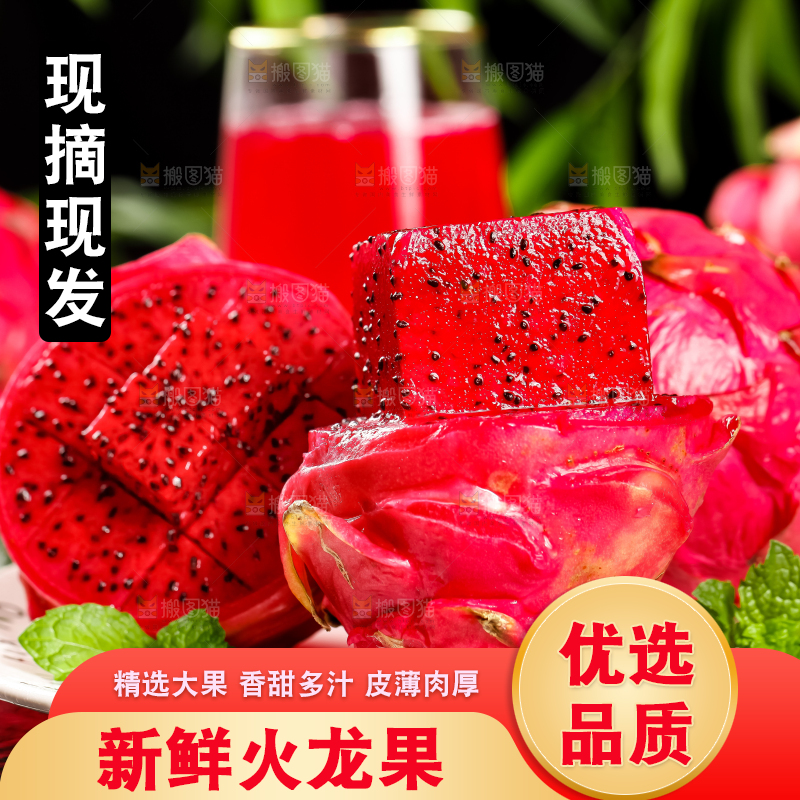 深底上的金都一号红心火龙果