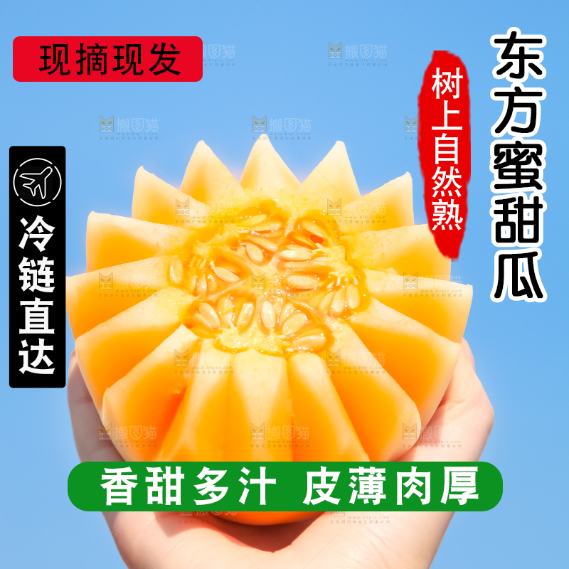 手里拿着东方蜜甜瓜
