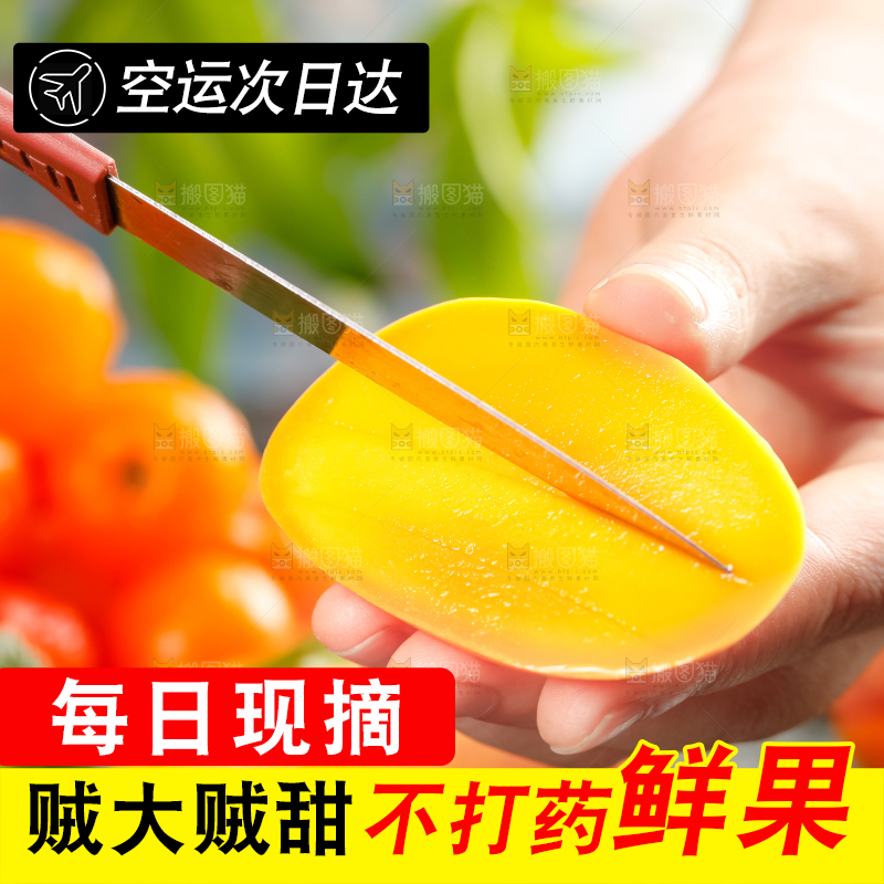 手里拿着台芒