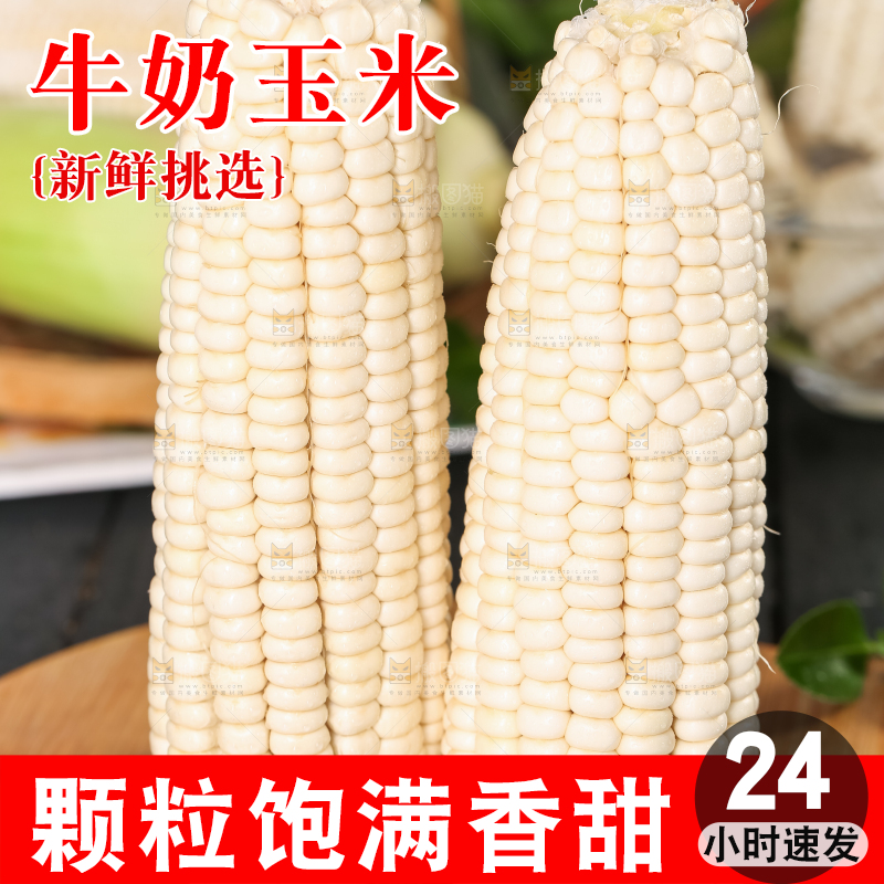 木板上摆放着漳州牛奶玉米