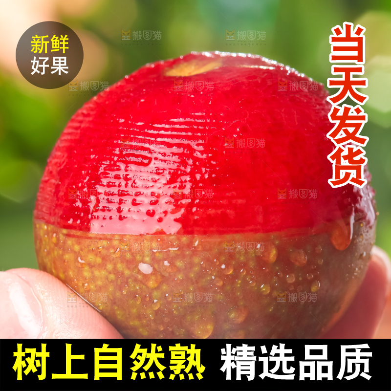 手里拿着红心三华李
