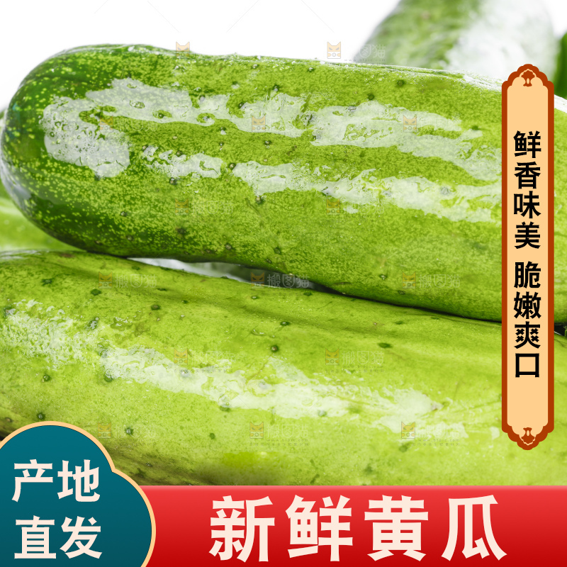 篮子里装着蔬菜黄瓜