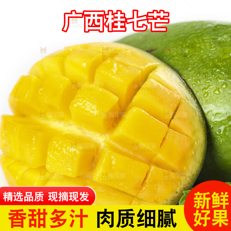 白底上的桂七香芒