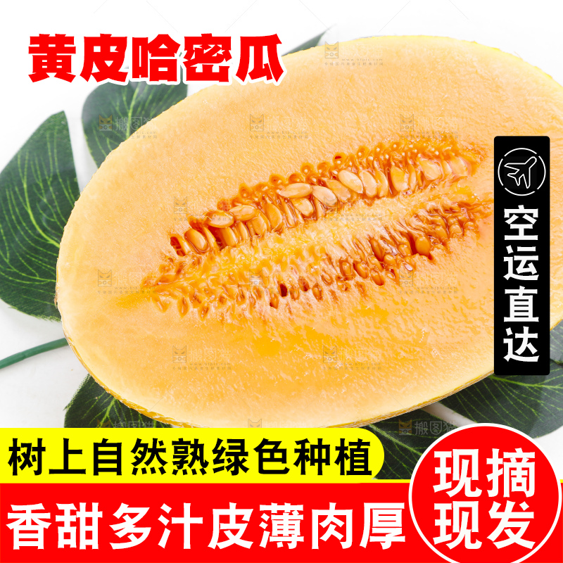 白底上摆放着黄皮蜜瓜