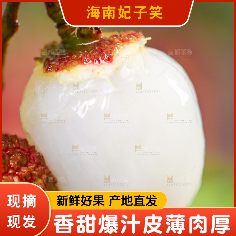 手里拿着新鲜妃子笑