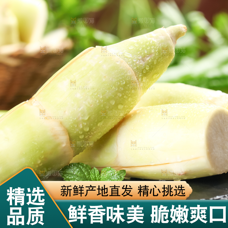 石板上的云南茭白