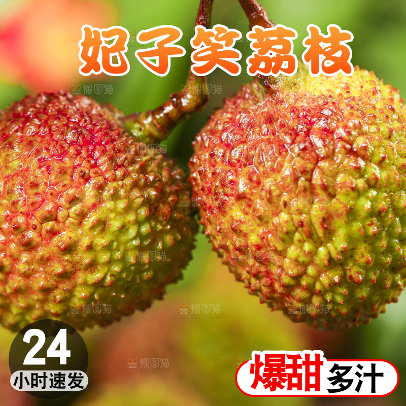手里拿着新鲜妃子笑