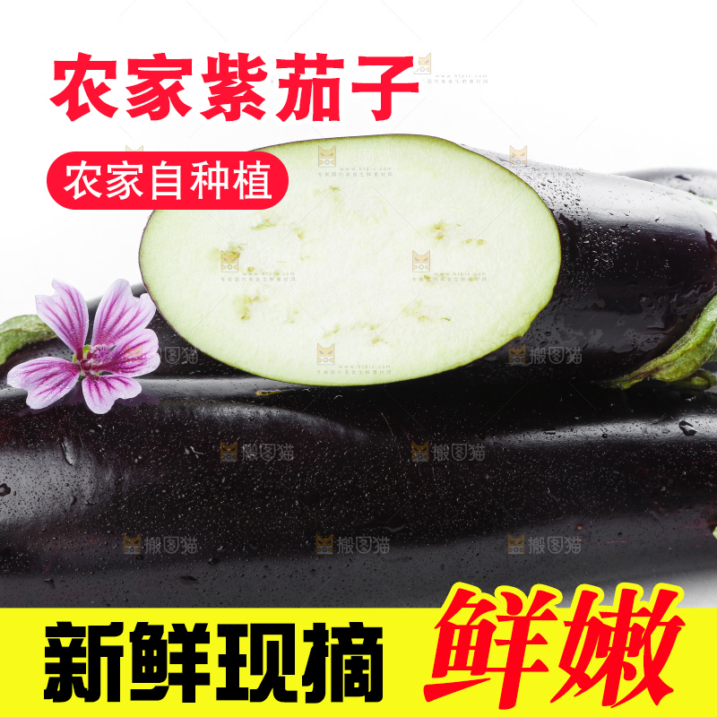 白底上摆放着紫茄子