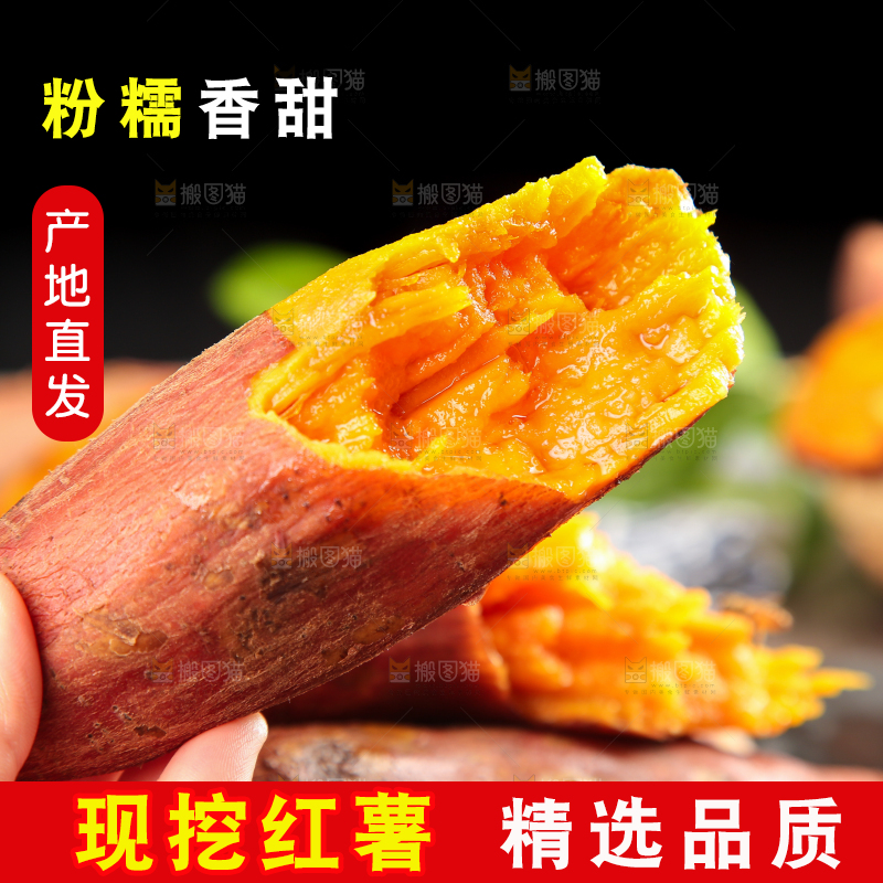 手上拿着福建六鳌蜜薯